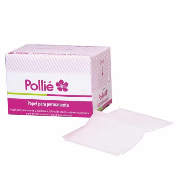 BOITE 1000 FEUILLES POINTES POLLIE