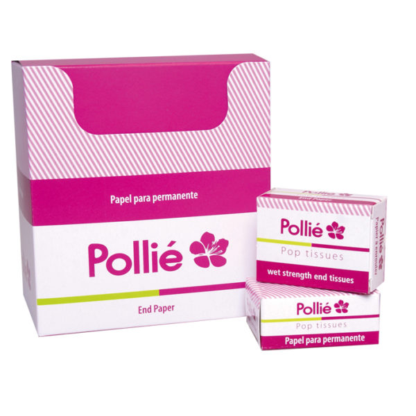 BOITE 20 PAPIER POINTE POLLIE