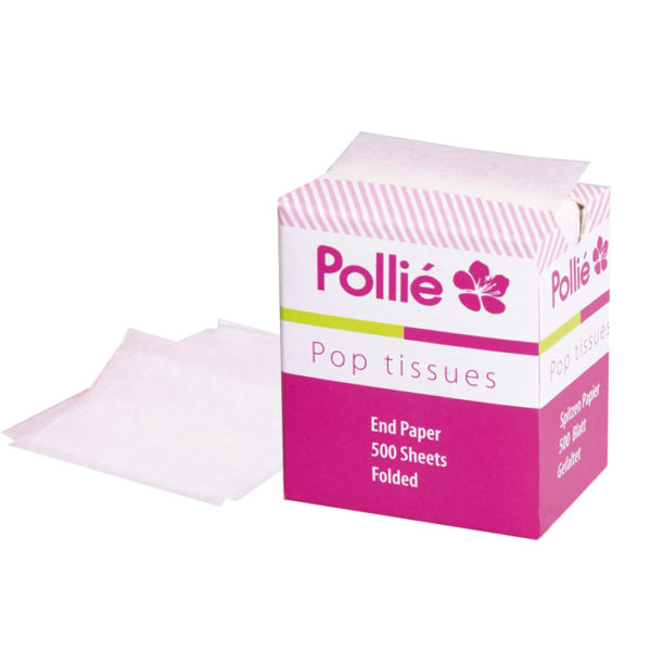 BOITE 500 FEUILLES POINTES POLLIE