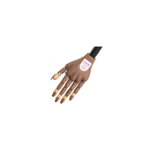ARTICULATED HAND FOR MANICURE PRACTICES