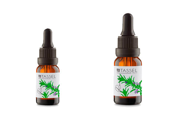 disco Cartas credenciales Marina Los beneficios del aceite de romero para el cabello y la piel | Blog | Eurostil disco Cartas credenciales Marina Los beneficios del aceite de romero para el cabello y la piel | Blog | Eurostil
