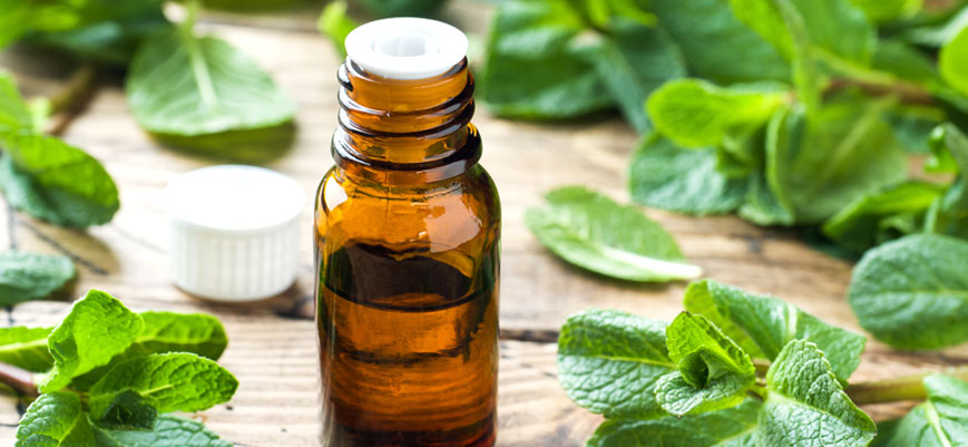 Los beneficios del aceite de menta para el cuidado del cabello y de la piel