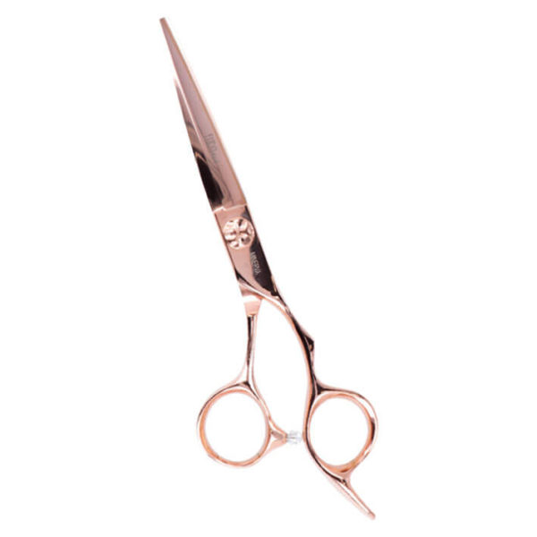 CUTTING SCISSORS 6.0