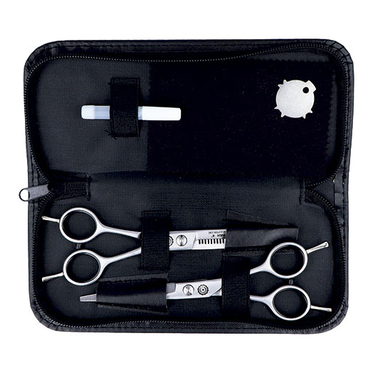 CASE 2 PROFESSIONAL CUTTING/SCULPTING SCISSORS 6