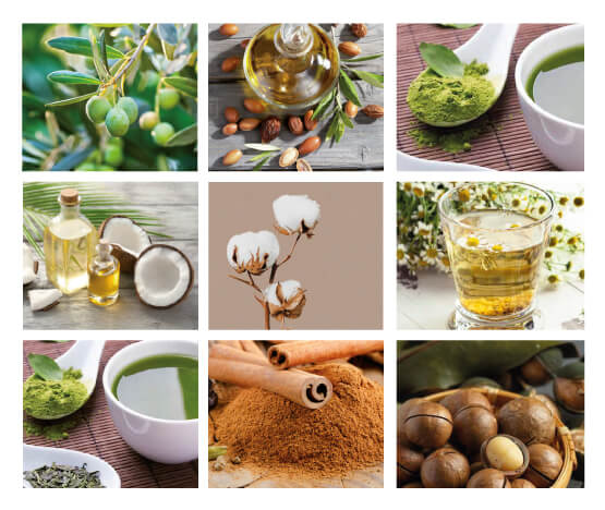 aceites-dousse