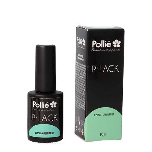 P-LACK MENTHE VERTE 9GRMS